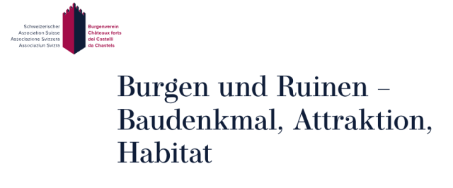 Printscreen https://burgenverein.ch/tagung_burgen_und_ruinen/