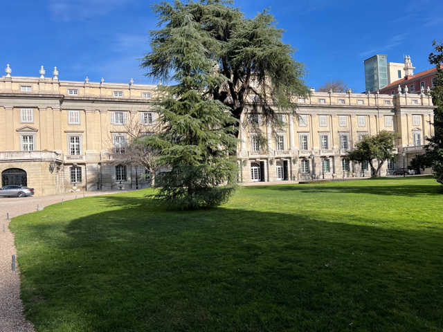 Copyright Jürg Bloesch