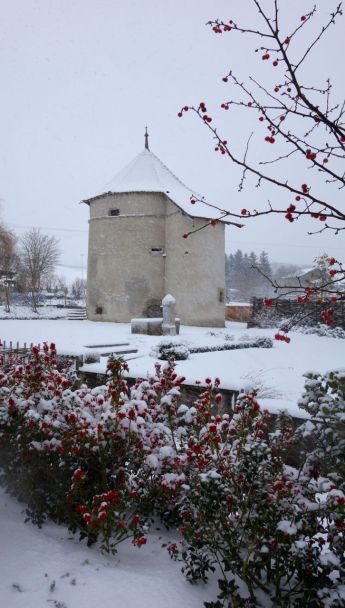 Château de Donneloye