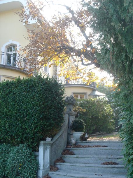 Villa Felsenburg
