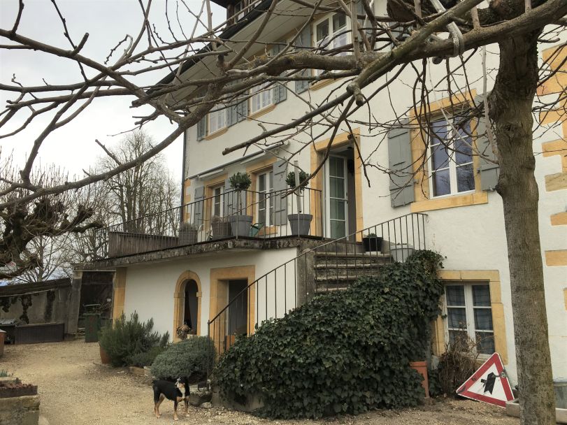 Villa Schönegg