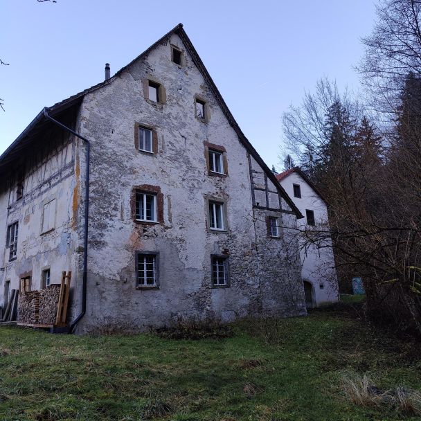 Mühle Leidikon